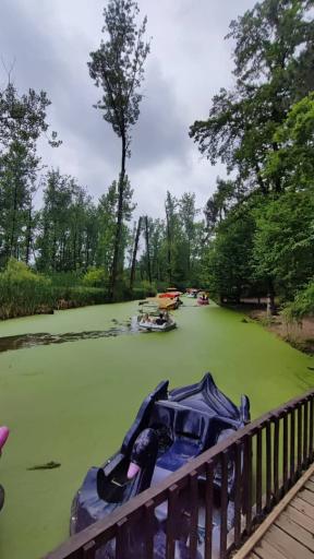 عکس ورودی پارک جنگلی و مرداب سراوان