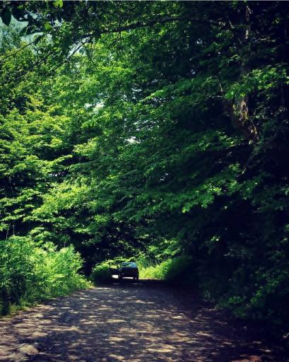 عکس ورودی پارک جنگلی و مرداب سراوان