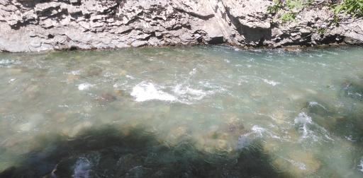 عکس مرکز رفاهی فرهنگیان