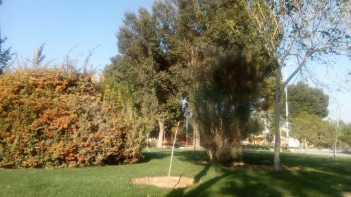 عکس بوستان ایرانی