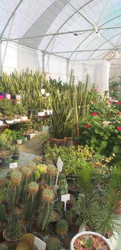 عکس گلخانه گل و گیاه مهیار