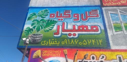 عکس گلخانه گل و گیاه مهیار