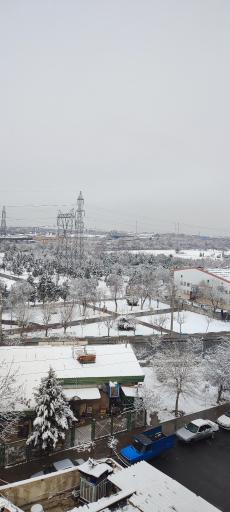 عکس بوستان جوانمرد قصاب