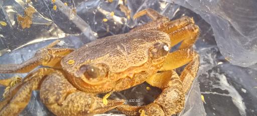 عکس خانه فست فود