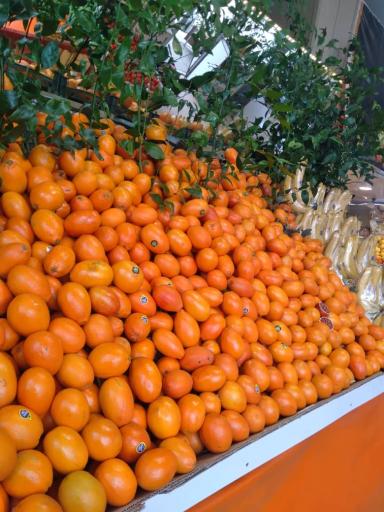 عکس سوپر میوه شهر