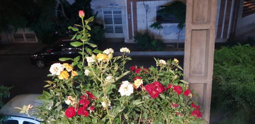 کترینگ هلث پلاس