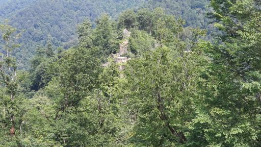 عکس شاه نشین قلعه