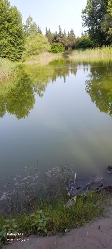 عکس دریاچه مصنوعی