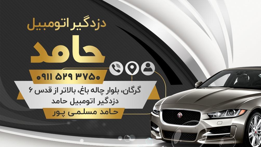 عکس دزدگیر اتومبیل حامد