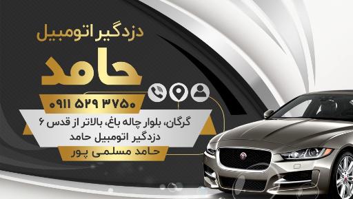 عکس دزدگیر اتومبیل دانا