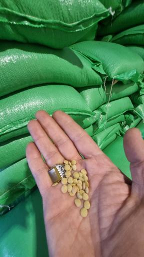 عکس حبوبات گلشن قم