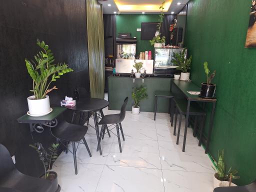عکس آلپر کافی