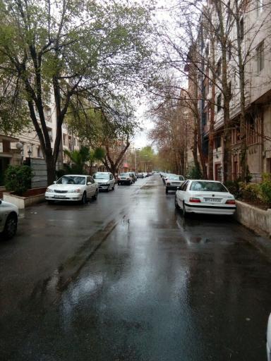 عکس شهرک شاهد