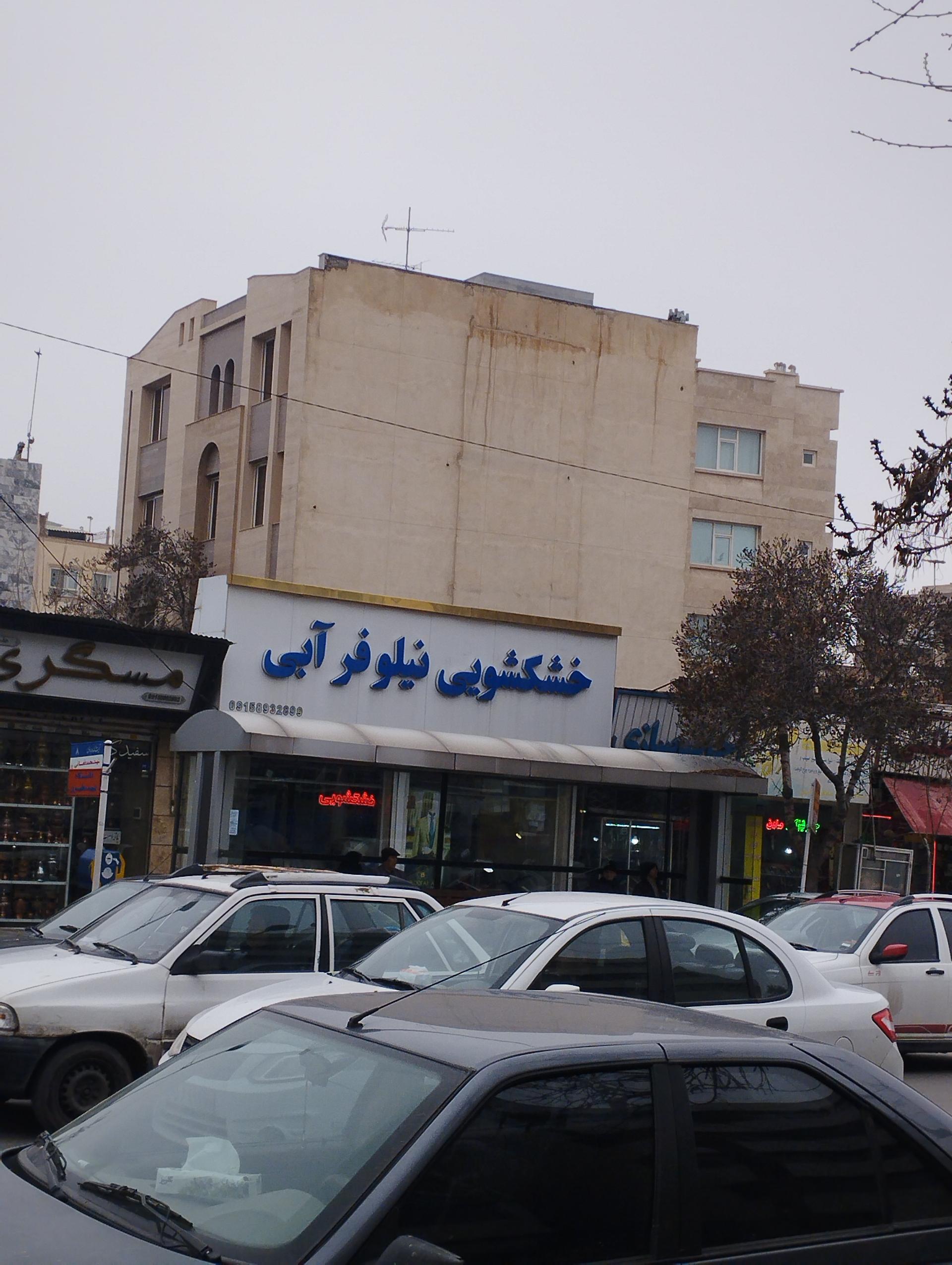 عکس خشکشویی نیلوفر آبی