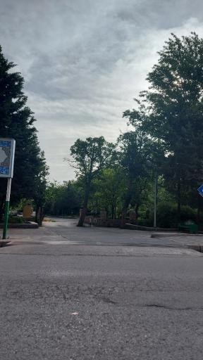 عکس پارک لاله