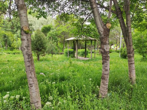 عکس پارک لاله