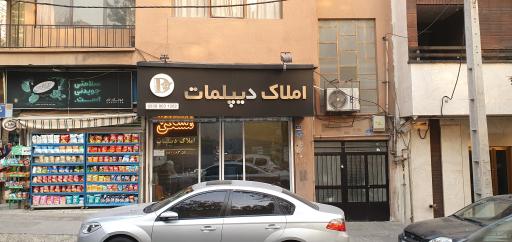 املاک دیپلمات