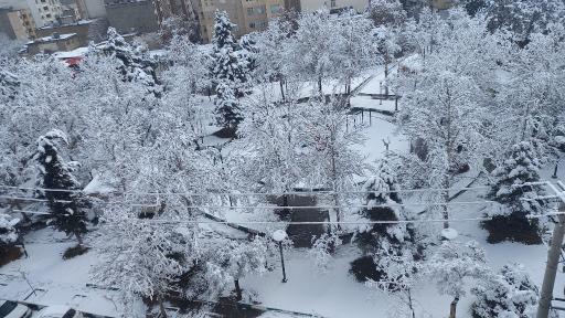 عکس بوستان آذر