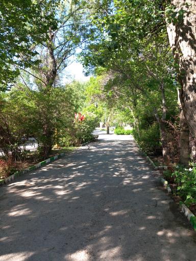 عکس پارک لاله