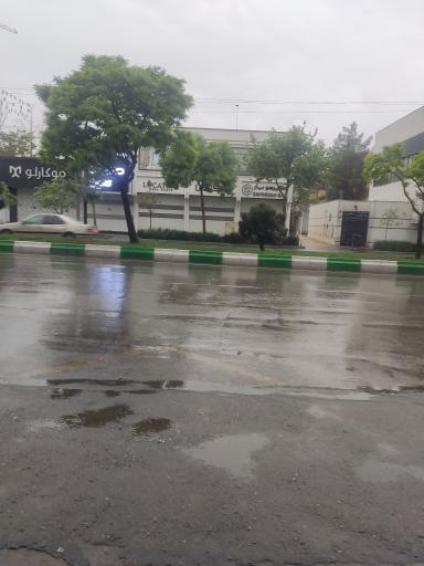 عکس  هاشمیه 6