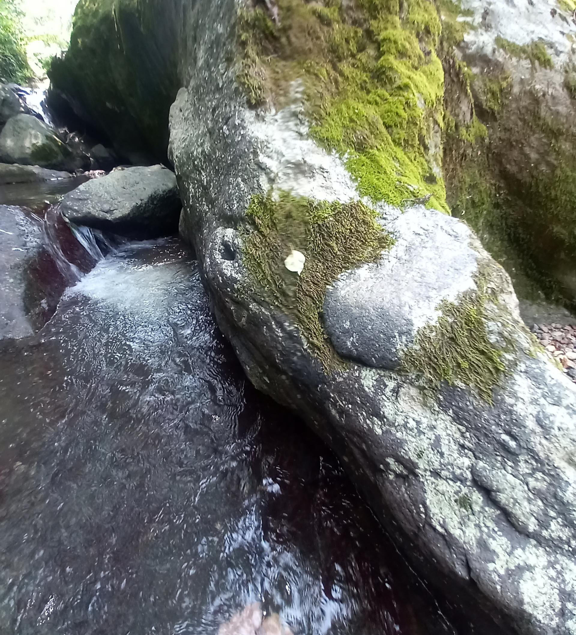 عکس مسجد میری