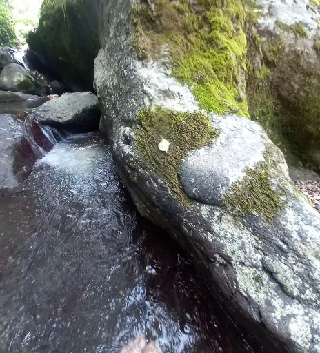 عکس مسجد میری