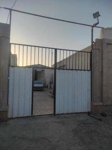 عکس برنا بلوط زاگرس