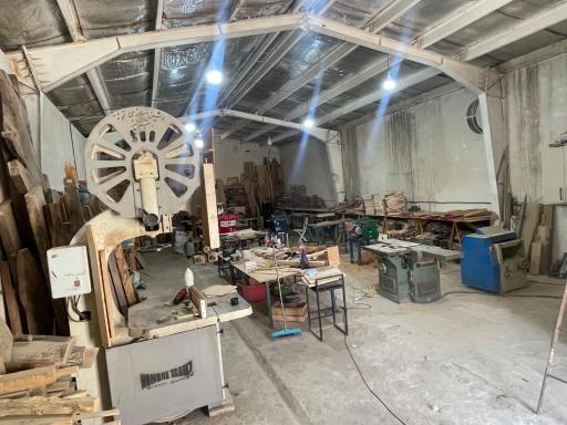 عکس برنا بلوط زاگرس