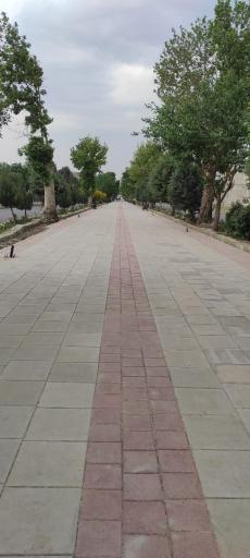 عکس پیاده راه مشاهیر (بلوار گلها)