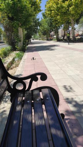 عکس پیاده راه مشاهیر (بلوار گلها)