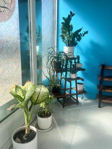 عکس سالن ماساژ آوا