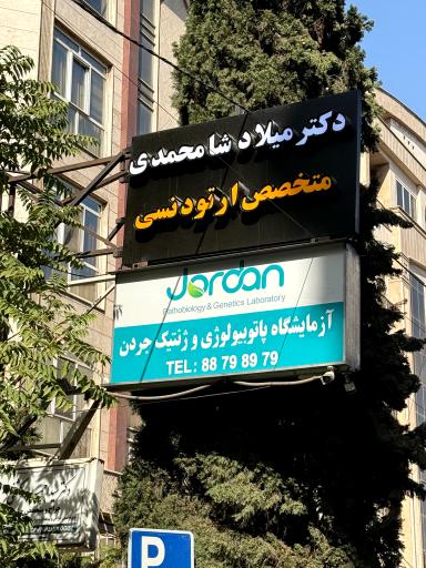 دکتر میلاد شامحمدی 