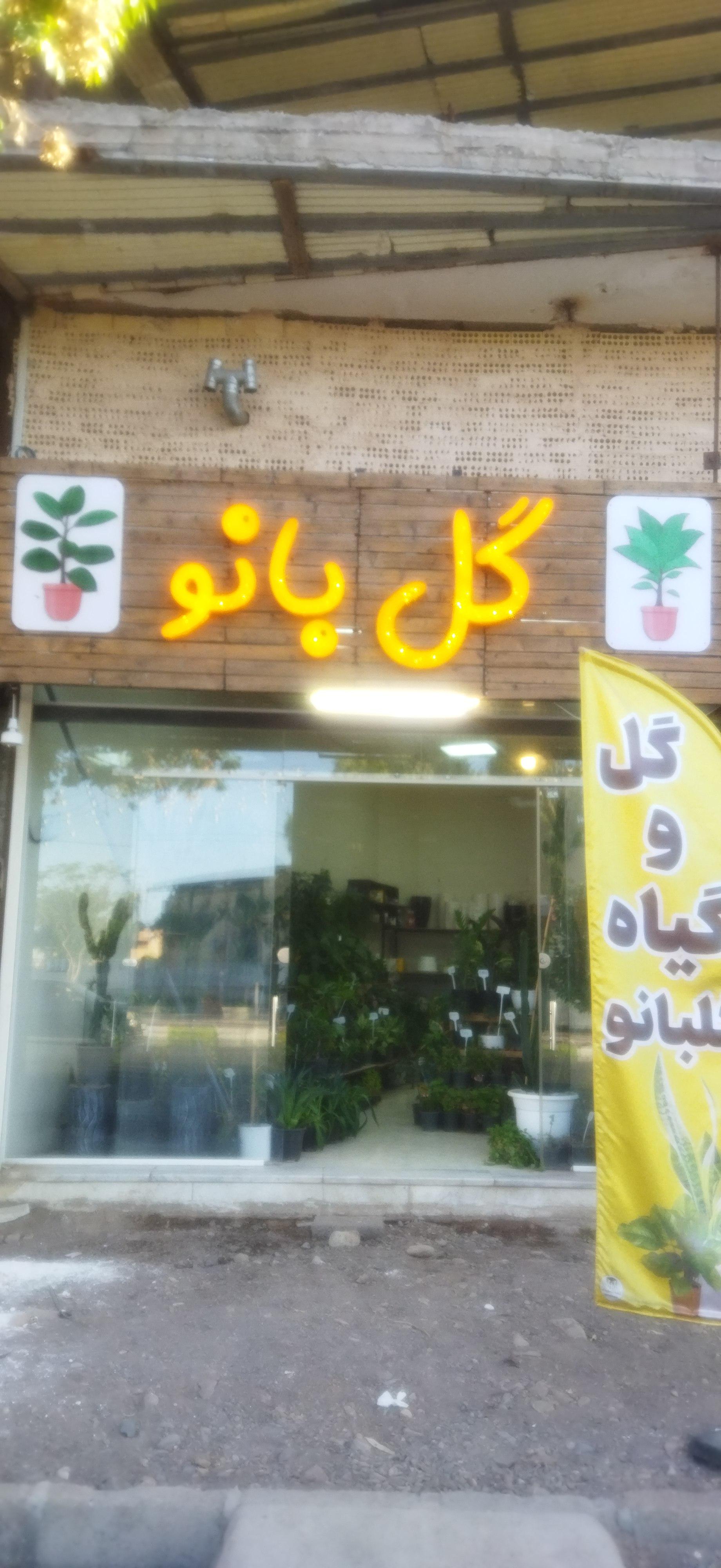 عکس گلفروشی گلبانو