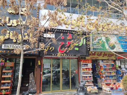 عکس الویه شوخ