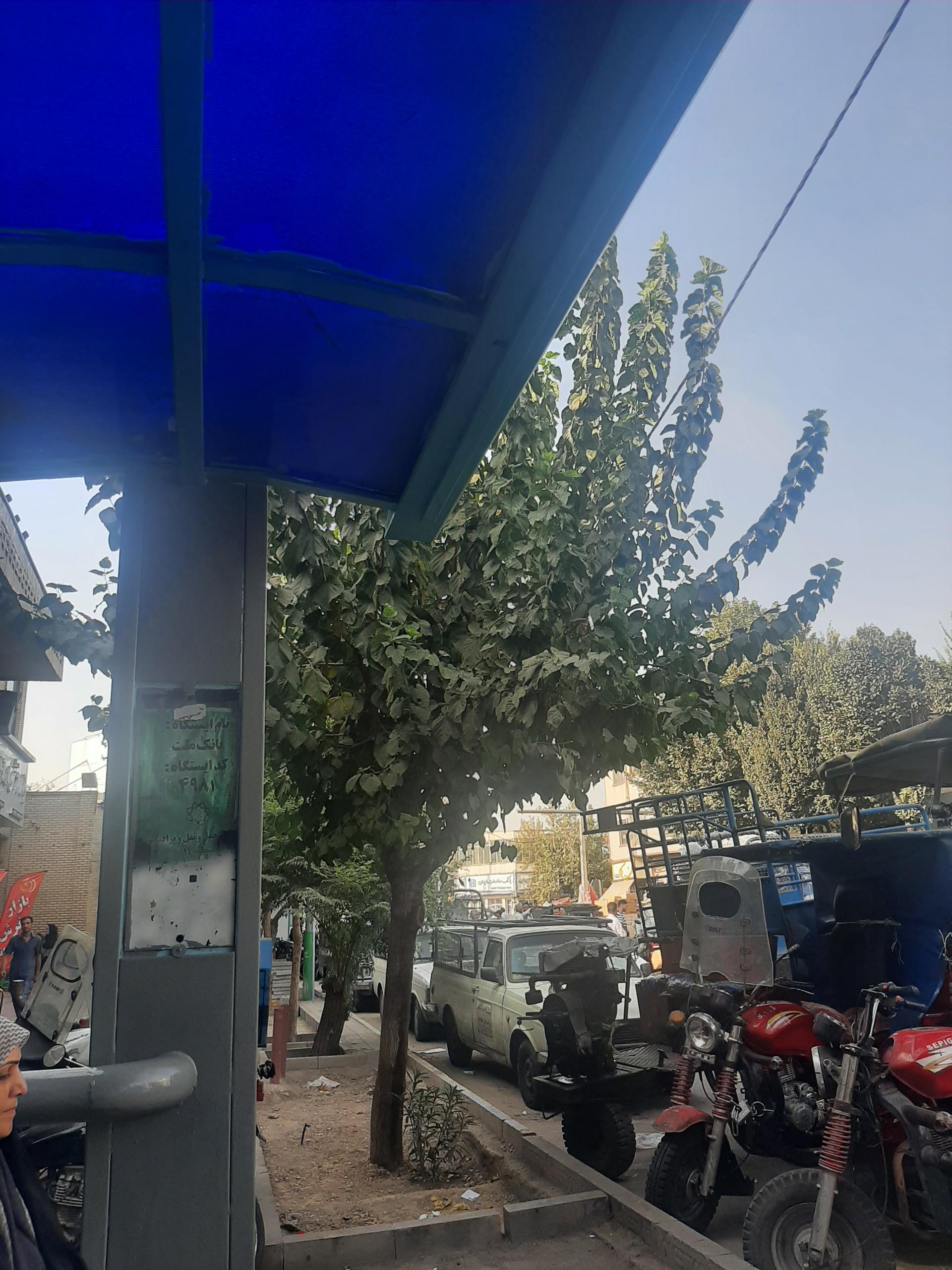 عکس بانک ملت