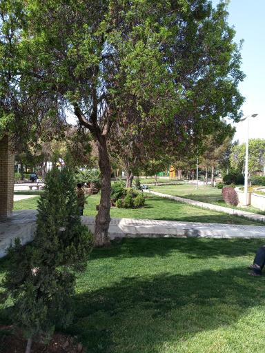 عکس پارک پرواز