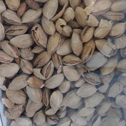 عکس آماده به طبخ دهقان