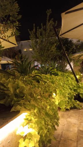 عکس کافه رستوران عمارت