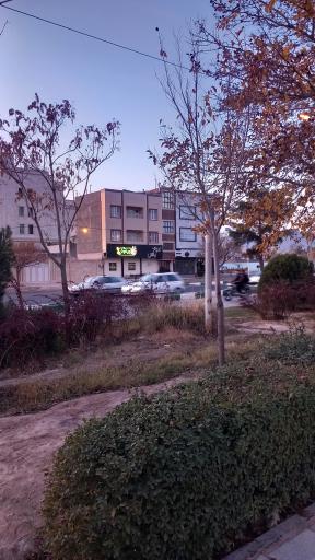 عکس گالری عروس یاس 