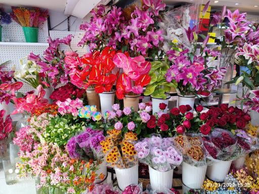 عکس کلبه گل یاس