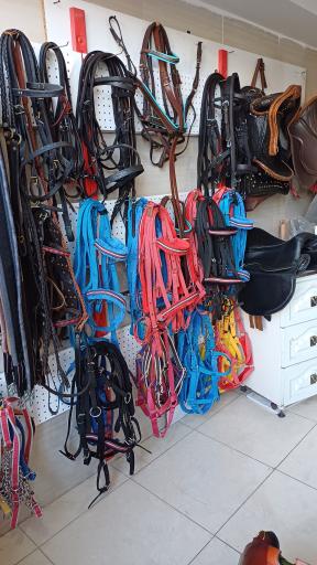 لوازم سوارکاری تندر