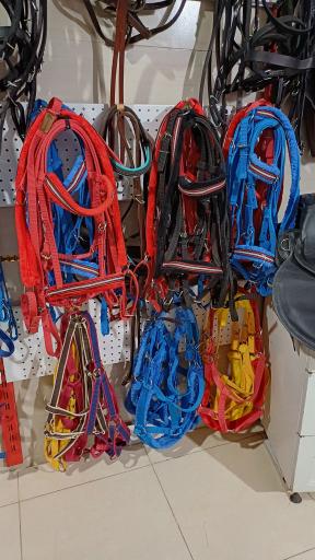 عکس لوازم سوارکاری تندر