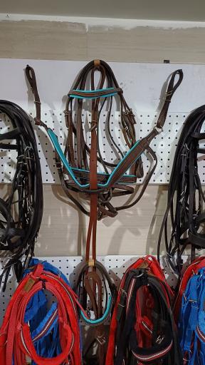 عکس لوازم سوارکاری تندر