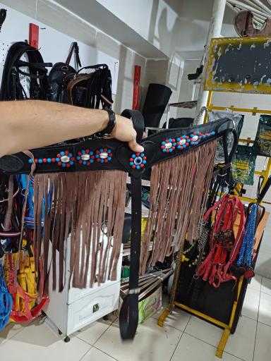 لوازم سوارکاری تندر