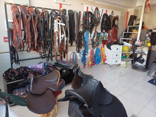 عکس لوازم سوارکاری تندر