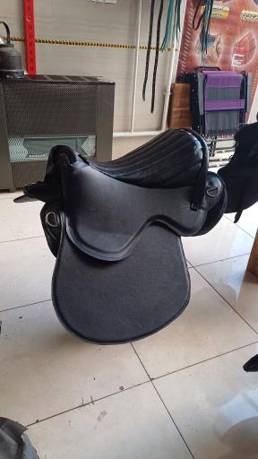 عکس لوازم سوارکاری تندر