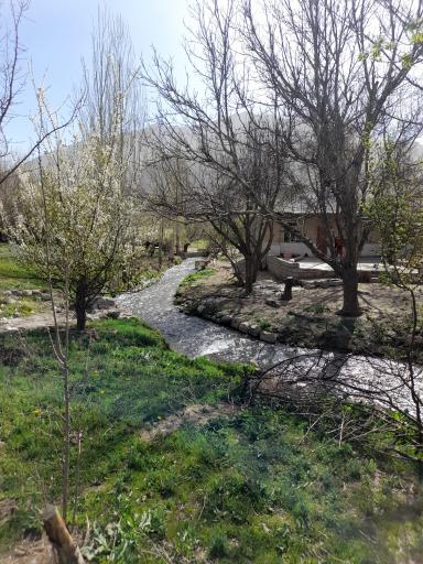 عکس الیگودرز