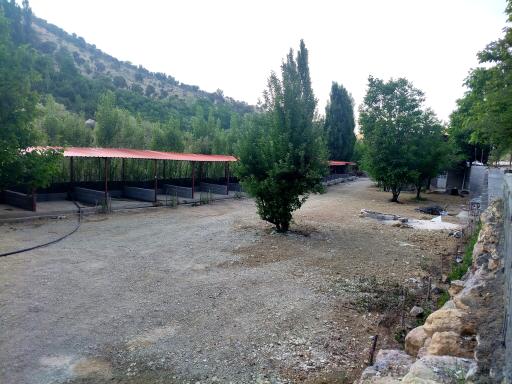 عکس باغ اقامتگاه سرچشمه تیزاب