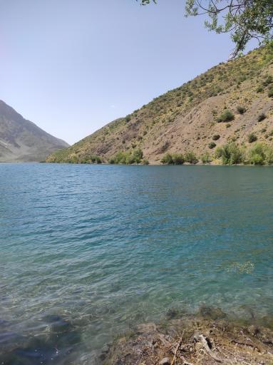 عکس الیگودرز