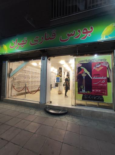 عکس بورس قناری آراز